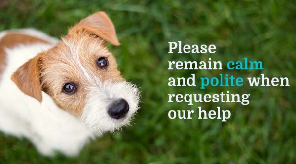 please stay calm and polite when requesting our help