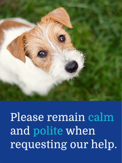 Please stay calm and polite when requesting our help